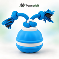 The Zoomie Ball | PawsOrbit