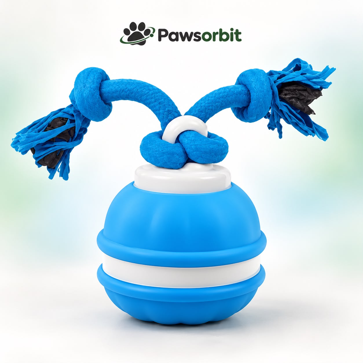 The Zoomie Ball | PawsOrbit