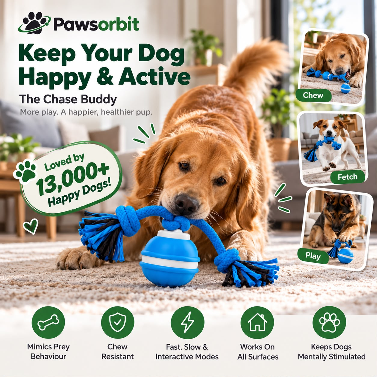 The Zoomie Ball | PawsOrbit
